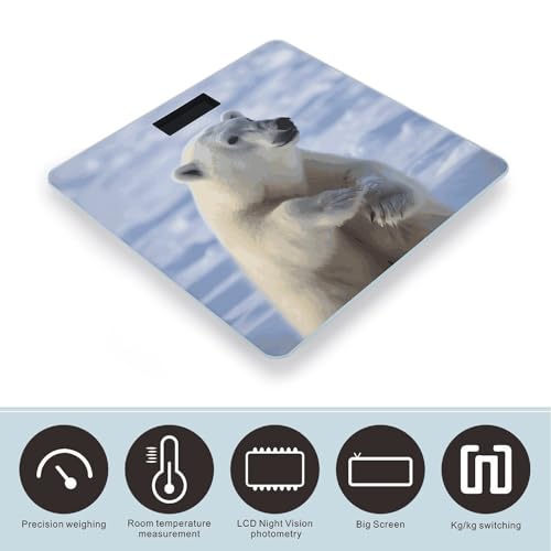 Báscula Digital Inteligente Polar Bear Precisa Para Baño miniatura 3