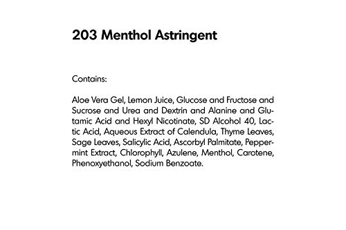 Raya Menthol Astringent 6 Oz (203) | Effective Facial Toner For Combination And Partially Oily Skin Prone To Break-Outs | Helps Refine, Tighten, And Protect Ph Balance | Cools, Refreshes And Soothes #TOP5