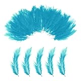 PATIKIL 100 Stück Fluffige Truthahn Marabou Federn 4-6 Zoll Lake Blue Natürliche Truthahnfedern Für Basteln Traumfänger Fransenbesatz Fliegenbinden Partydekoration