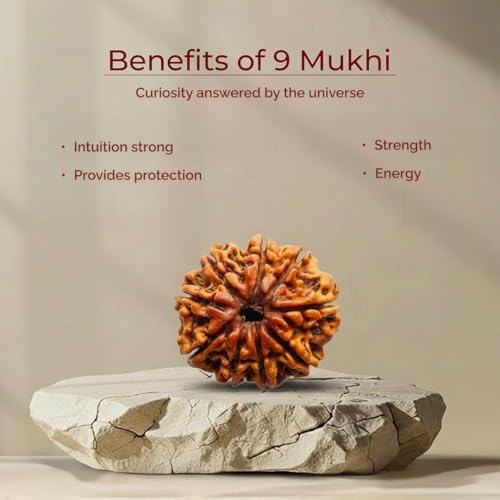 Image of Divine Hindu Original 9 Mukhi (Nine Face) Indonesia Rudraksha | Nau Mukhi Rudraksh Bead for Meditation, Protection & Spiritual Growth | Natural Rudraksha for Men & Women | Prayer Bead for Success