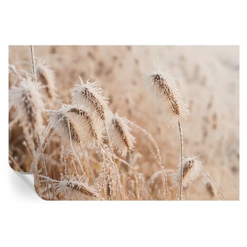 Cubiertas de pared autoadhesivas para tapar imperfecciones con paisajes de invierno 2