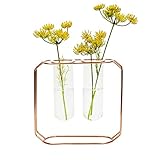 NCYP Modern Minimalist Trendy Geometric Desktop Indoor Crystal Clear Glass Tube Vase with Rose Gold...