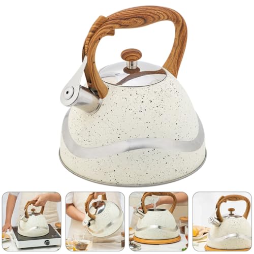 Hervidor de agua de acero inoxidable con mango de madera premium y 3l 6
