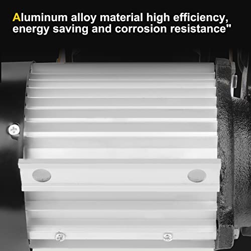 Gpoas 110V Ac 550W Self Priming Electric Transfer Pump, 60L / Min 16Gpm Oil Change Fuel Diesel Kerosene Biodiesel Pump #TOP4