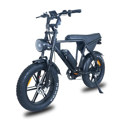 BRIFUGO 20 pulgadas 4.0 Fat Tire E-Bike Cargo para adultos, potente motor 48V sin escobillas e-bike, marco de aleación de aluminio, horquilla de suspensión bicicleta...