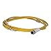 Eaton Electrical - CSAS4F4RY2202 - Cordset, End 1 Number of Pins: 4, End 2 Gender and Plug End: Bare Wire, End 1 Keyway: Single