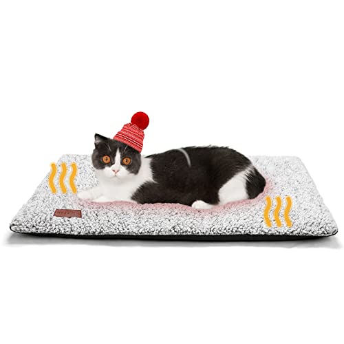 Top 10 Cat Bed For Arthritis of 2022 Katynel
