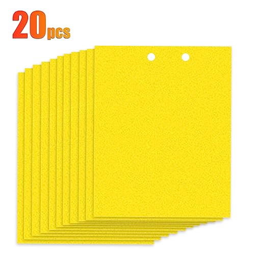 Armadilhas pegajosas para mosquitos de fungo de insetos de plantas voadoras 20pcs 20 * 25cm Armadilh