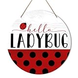 Muktoujaumai Hello Sign for Front Door, Spring Summer Welcome Hanging Sign Decorations Farmhouse Ladybug Decor Wall Sign for Porch, Patio, Home