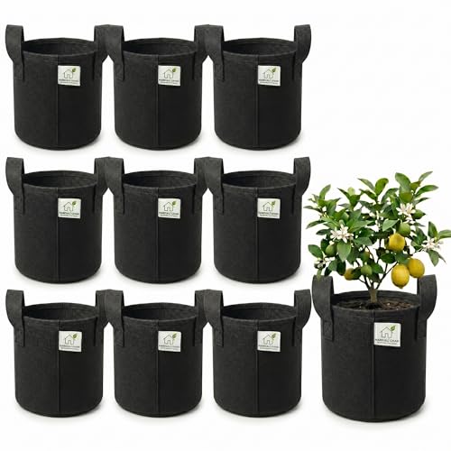 Image of 400 GSM Geo Fabric Round Grow Bags 8x8 Inch with Handle, Black Planting Bags for Terrace and Kitchen Gardening Pack of 10