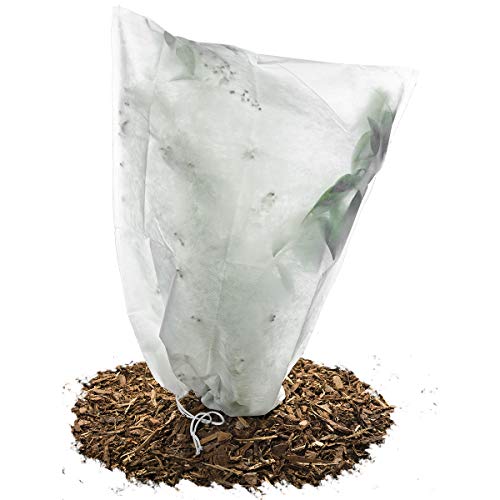 HaGa-Welt.de Housse d'hivernage Non tissée 50 g/m² Protection Contre Le Gel des Plantes en Pots et rosiers 55cm x 75cm Blanc