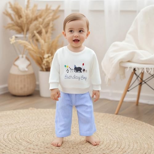 Toddler Baby Boy Birthday Clothes Zoo Animal Birthday Boy Crewneck Sweatshirt and Plaid Pants Set 2Pcs Fall Outfit3