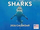 Shark Calendar 2026 Monthly Wall Calender 12 Month | American Made In The USA