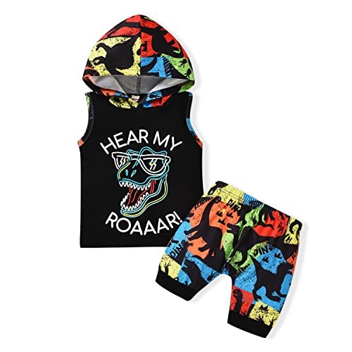 HINTINA Conjunto de sudadera con capucha y pantalones cortos de dinosaurio para niño pequeño, Varios colores, 3-4 años