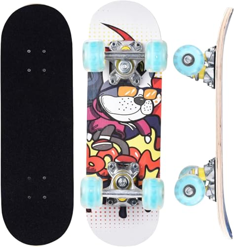 Skateboard enfant débutant ERNAN 17 pouces avec mini outil en T pour fille et garçon