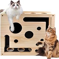 Katzenkratzpuzzle Anreicherungsbox, Katzen Kratzbrett, AnreicherungsBox Katzen Nagelfeilen Holz mit Kratzer, Kratzkokon Fummelbrett für Katzen, Interaktive Kratzboxen Schleifpapier für Indoor Katze-n