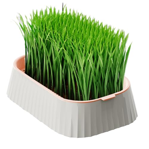 Maceta de hierba para gatos, maceta hidropónica para gatos, herramientas de plantación de doble capa, contenedor sin suelo, cultivador de hierba de trigo saludable, suministros para mascotas, caja de
