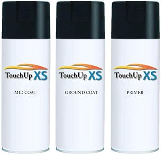 TouchupXS-Perfect Match For Cadillac CTS WA815T Black Diamond Touch Up Paint 12oz and Primer