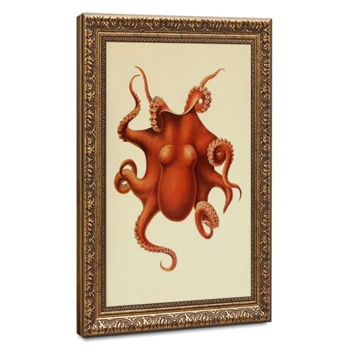 Impression sur toile Octopus Ewald Rubsamen toile suspendue salon 61x91,4 cm