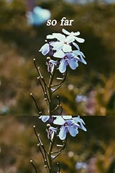 Paperback So Far: Collected Writings 2010-2018 Book