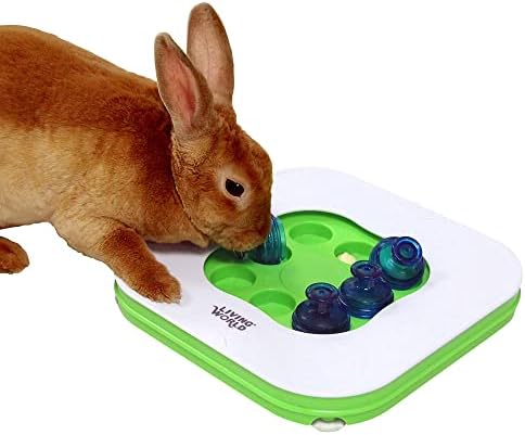 Living World 3-in-1 Teach-n-Treat Interactive Toy, Small Animal Toy, Ideal for Rabbits, Guinea Pigs, Chinchillas and Rats
