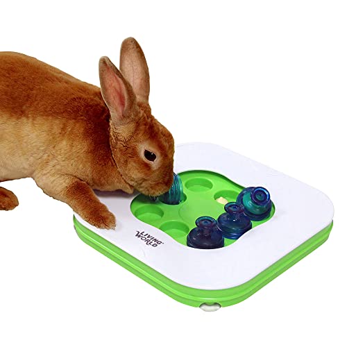 Living World,Chinchilla Teach N Treat Toy For Small Breeds #TOP1