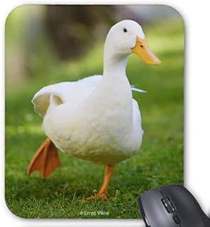 アヒルのマウスパッド:フォトパッド( 世界の家禽シリーズ ) (A)
