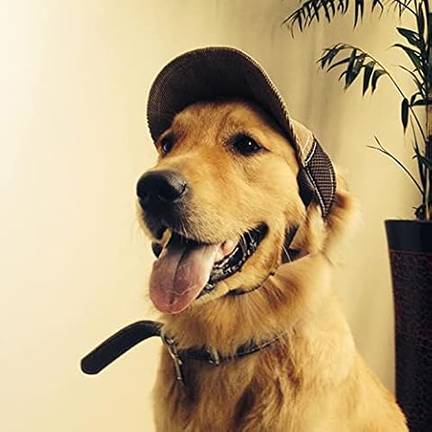 Sombrero Ajustable YJZQ para Perros con Protección Solar Cover