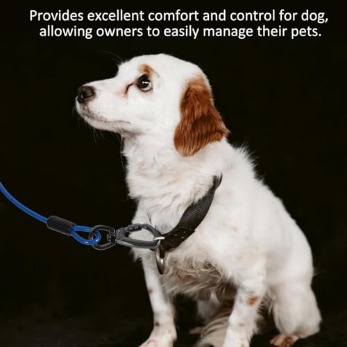 INOOMP Cabo De Amarração Para Cães: Trela De Cachorro Para Quintal - Trela De Corrente Resistente Ex