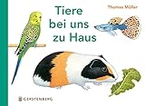 Gerstenberg Verlag