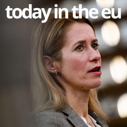 EU top diplomat Kallas on 'Russian traps' and European red lines