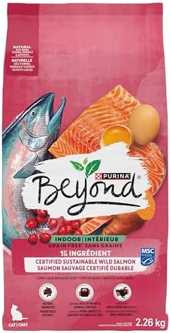 Beyond Grain Free Natural Dry Cat Food, Indoor Cat Wild-Caught Salmon & Egg - 2.26 kg Bag - 1