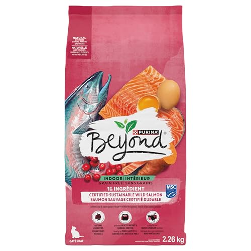 Beyond Grain Free Natural Dry Cat Food, Indoor Cat Wild-Caught Salmon & Egg - 2.26 kg Bag