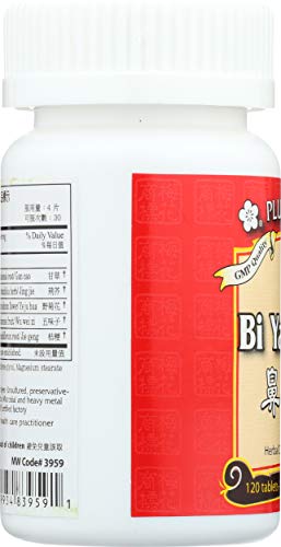 Plum Flower Chinese Tea Bi Yan Pian Tb, 120 Ct #TOP5
