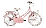 Bicicletta olandesina colore rosa barbie in acciaio con dimensione di 300 mm
