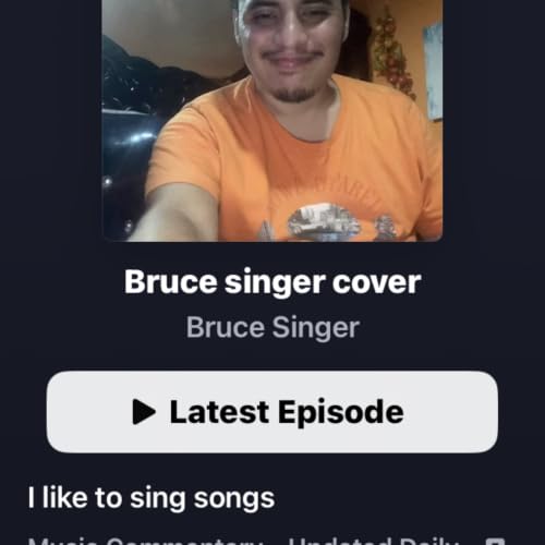 『Bruce singer』のカバーアート