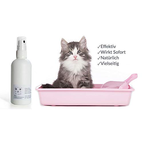 Élimine les odeurs de chat de la maison ? Le meilleur destructeur d'odeurs Baron – votre...