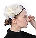 Fascinator Hats Pillbox Hat British Bowler Hat Flower Veil Wedding Hat Tea Party Hat (Beige)