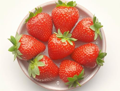 �������G �X�g���x���[���b�h �A�N�����G�̋� �Z�b�g�ƃu���V�t�� DIY Paint by Numbers �������G ��l�p ���S�� ����G��L�����o�X �h��G ���� �A�[�g�N���t�g �z�[���f�R���[�V���� �v���[���g�C���e���A �Ǐ��� 50x70cm (