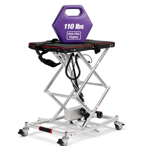 Alton Portable Electric Wheelchair Lift 25 Lbs