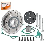 Flywheel Puller Tool & Starter Clutch One Way Bearing Gear Gasket Kit for Yamaha YFM660R Raptor 660R 2002 2003