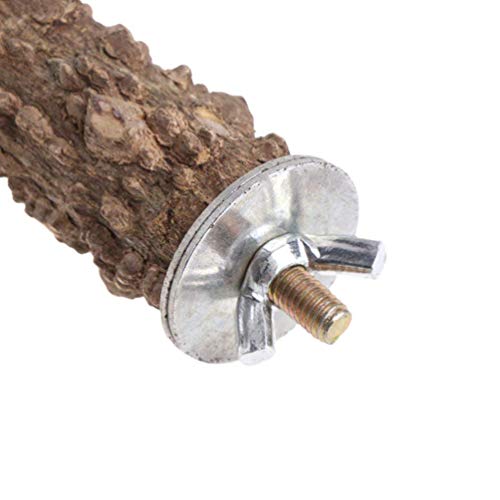 Image of Hypeety Natural Prickly Ash Wood Perch Stand Toy Parrot Stand Holder Paw Grinding Perch Bird Chew Perch for Budgie Parakeet Cockatiel Conure Lovebird (11.79 inch)
