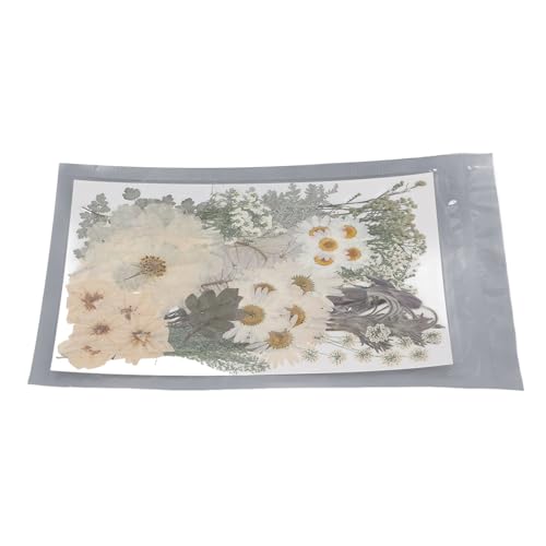 Flores Prensadas, 100 Unidades de Diferentes Variedades de Folhas Secas Kit Em Massa DIY Colorido Co
