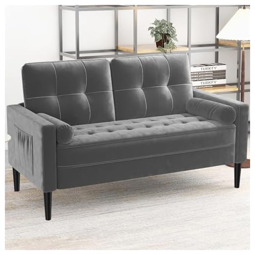 Sofá 2 Plazas, Sofá Dos Plazas con 2 Almohadas, Cómodo Cojín de Asiento, Sofá Moderno de Mediados de Siglo, Sofás Pequeños para Sala de Estar/Apartamento/Dormitorio, Sofá de Terciopelo (Gris)