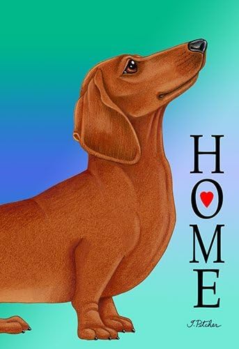 Best of Breed Dachshund Red Home Design House Flag