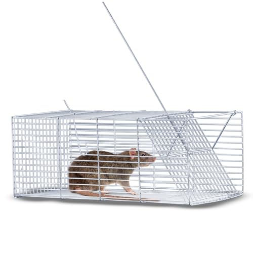 Ratoeira Armadilha Pega Rato Ratazana Médio Grande 30cm e 40cm (30 CM)