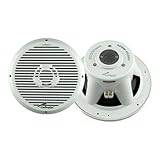 Audiopipe 10' Marine Subwoofer 600 Watts APSW-1032V