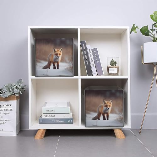 Boîtes de rangement renard pliable pour armoire gain de place - 6