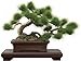 Produktbild Good Smile Company pz03867 die Bonsai Wiederauflage Plastic Model Kit 1 Play Set