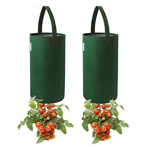 Pri Gardens Upside Down Tomato Planter, (2- Pack) Hooks Included